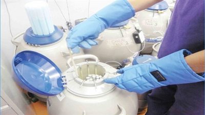 تجميد البويضات في ميزان الشرع .. حلال أم حرام ؟