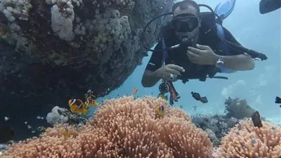 ينفرد بـ 12 نوعًا نادرًا من الأسماك ويوجد به أكثر من 1200 نوع.. كل ما تريد معرفته عن البحر الأحمر 