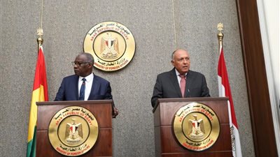 شكري ونظيره الغيني يوقعان على عدد من الاتفاقيات المشتركة (صور)