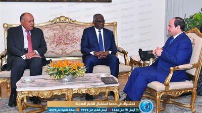 السيسي يتسلم رسالة من رئيس جمهورية غينيا