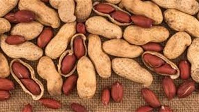 فوائد الفول السوداني للأطفال والكبار.. يحمي من أمراض القلب والشرايين التاجية