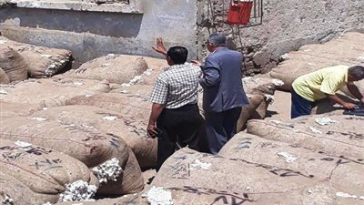 بني سويف تستعد لموسم 