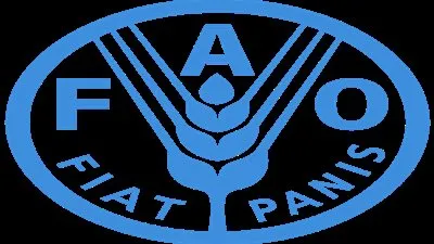 منظمة أممية: انخفاض أسعار الغذاء العالمية للشهر الثالث على التوالي