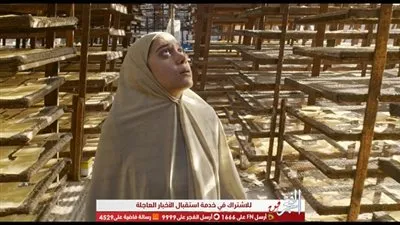 بين الحفاوة النقدية والاتهامات بالقبح وزنا المحارم.. ما هي حظوظ 