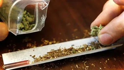 ضبط 30 متهما بحوزتهم حشيش واستروكس وأسلحة نارية بالجيزة 