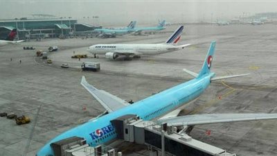 سقوط أشجار وتوقف طائرات.. إعصار يضرب كوريا الجنوبية