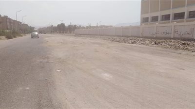 استمرار أعمال رفع المخلفات بمحيط أسوار مدارس حي فيصل السويس (صور)