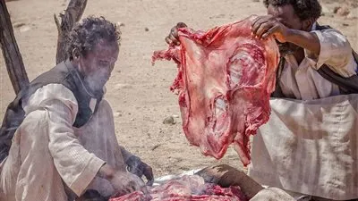 ذبح الإبل وسباق الهجن أشهر عادات وتقاليد أهالي الجنوب في يوم عاشورا 