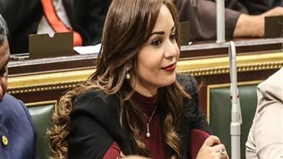 برلمانية تطالب بتخصيص أراض لإقامة مناطق صناعية للسيارات