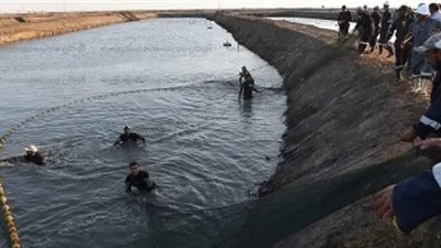 الثروة السمكية: مصر الأولى إفريقيًا في مجال 