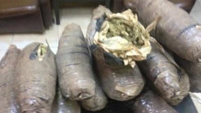 ضبط عاطل قبل ترويجه 50 كيلو بانجو على عملائه بالشرقية