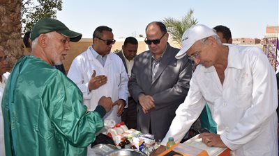 محافظ الفيوم.. يتفقد أعمال الحملة القومية للقوافل البيطرية المجانية بإبجيج (وصور)