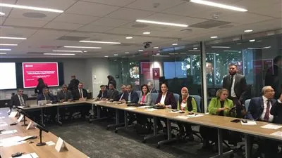 سيلفيا نبيل: اجتماعات 