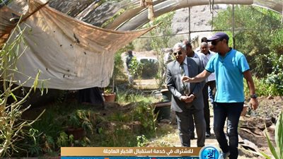 محافظ أسوان يشكل لجنة متخصصة من القوى العاملة لمراجعة موقف التعيينات بمصنع كيما 