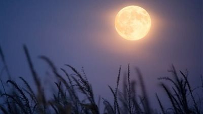 غدا.. كوكب الأرض يشهد ظاهرة فلكية نادرة!