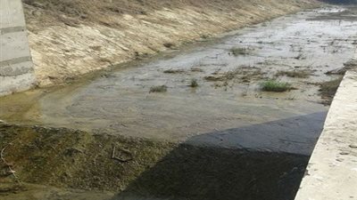 بني سويف تستعد لـ