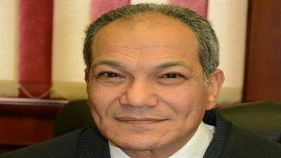 د. بهاء حلمي يكتب: استعمال وسائل التواصل الاجتماعى أثناء القيادة.. خطر داهم 