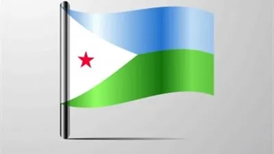 جيبوتي تدين العمل الإرهابي على معملين تابعين لأرامكو