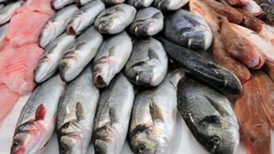 البوري 30 والمكرونة 65.. تعرف على أسعار الأسماك اليوم الأحد 15-9-2019 