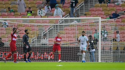 ترتيب الدوري السعودي للمحترفين بعد تعادل الهلال وخسارة الأهلي
