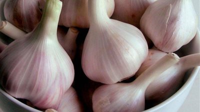 يصنع معجزة في جسمك.. تعرف على فوائد الثوم على الريق
