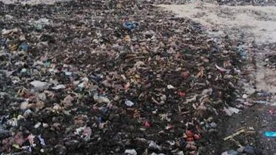 محافظ الشرقية: بدء العمل بالمرحلة الأولى من خطة التطوير الثلاثية لمنظومة النظافة بالمحافظة