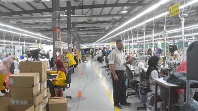 مبيدات حشرية وراء إصابة 100 عامل باختناق في مصنع ملابس بالفيوم