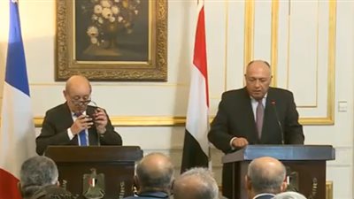 سامح شكري: ندعم السعودية.. وأمن الخليج جزء من أمن مصر