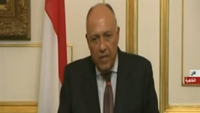 عاجل.. تصريحات وزير الخارجية حول تعثر مفاوضات سد النهضة (فيديو)