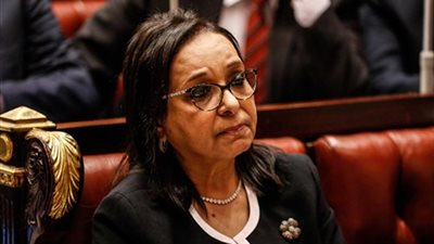 تحذير..  طلب إحاطة حول المنظفات الصناعية: 