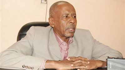 خبير عسكري سوداني: الخرطوم في حاجة للاستفادة من تجربة مصر بعد الثورة (فيديو)