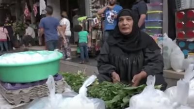 المصريون عن حملات الإخوان: 