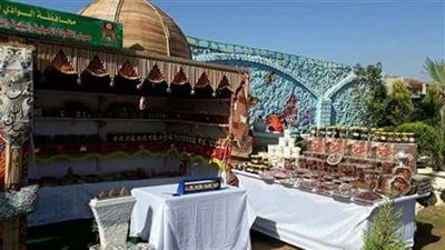 محافظة الوادي الجديد تشارك فى معرض 