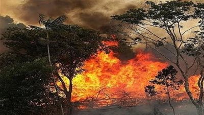 احتجاجات بشأن تغير المناخ تجتاح العالم