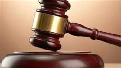 السجن 3 سنوات لمتهمين بتجارة الأسلحة والذخائر بالجيزة