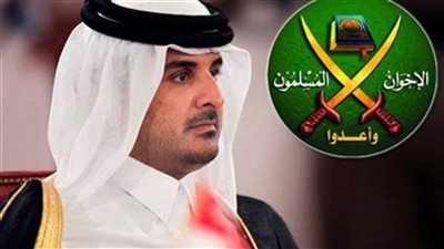 فشل إخواني.. خليجيون يفضحون دور قطر في استهداف مصر