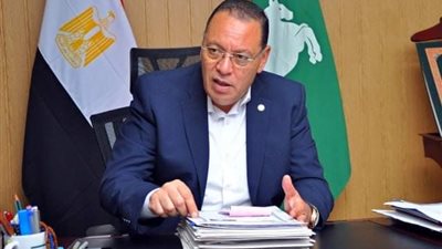 الخميس القادم.. انطلاق فعاليات مهرجان الشرقية للخيول العربية في بلبيس