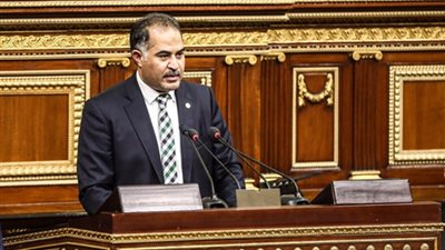 وكيل البرلمان: الشعب عرف طريق الاستقرار والبناء في عهد 