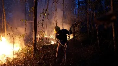 وكالة: رجال الإطفاء يفقدون الأمل في السيطرة على حرائق الغابات في بوليفيا