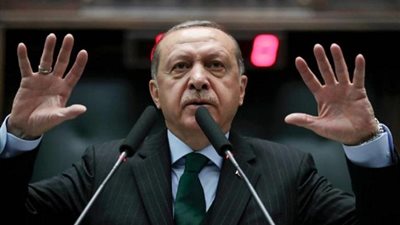 فريدة الشبواشي: 