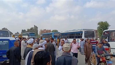 عاجل.. المئات من أهالي الشرقية يشاركون في مظاهرات دعم الرئيس السيسي 