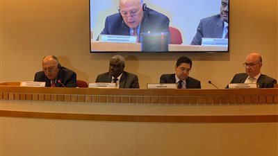 وزير الخارجية يُشارك في اجتماع مجلس السلم والأمن الأفريقي بنيويورك