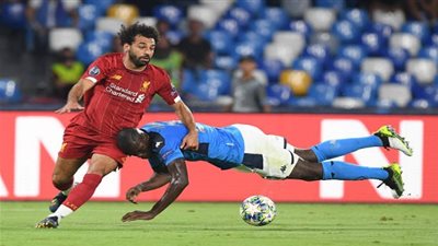 فيفا يحقق في 