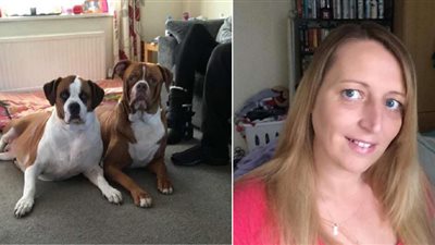 بسبب شجارها مع ابنتها.. كلبان يفترسان صاحبتهما حتى الموت بإنجلترا