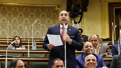 برلماني: 27 سبتمبر تجديد ثقة وتفويض جديد للرئيس عبدالفتاح السيسي