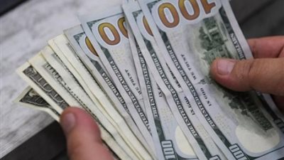 محسن عادل: لولا الإصلاح الاقتصادي لوصل الدولار لـ40 جنيها (فيديو)