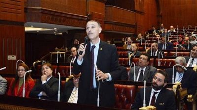 أول تحرك برلماني حول واقعة الطفلة جنة