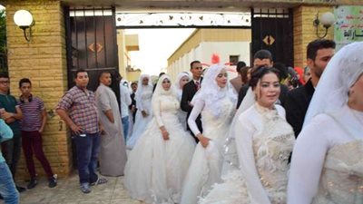 تضامن الوادي الجديد تستعد لإقامة زفاف جماعي في الوادي الجديد لـ 26 عروسة