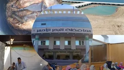 البحر الأحمر اليوم.. حريق هائل بالسنترال السياحي.. وتحرير 28 محضرا في حملة للشئون الصحية 