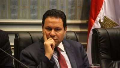 النائب هشام الحصري رئيسًا للجنة الزراعة بدور الانعقاد الأخير بالبرلمان